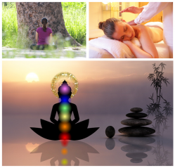 Centre de massage ayurvedique a la rochelle cabinet gerald gemaux energeticien masseur